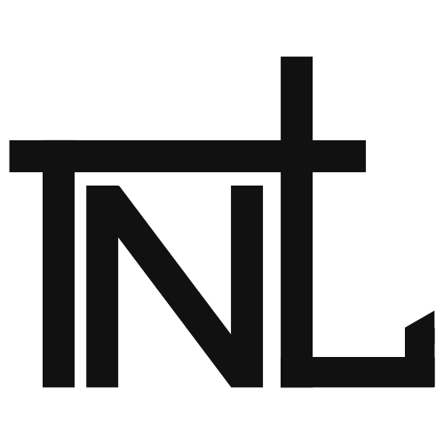 Nisan Grup Logo